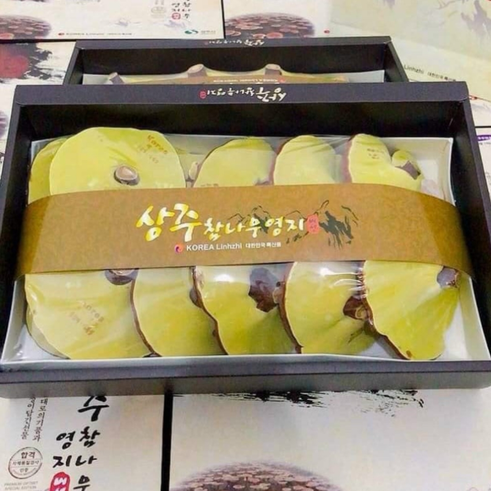 Nấm linh chi hộp quà SangJu Hàn Quốc thượng hạng hộp 1kg 6 - hanghanchinhhang.vn Nấm linh chi hộp quà SangJu Hàn Quốc