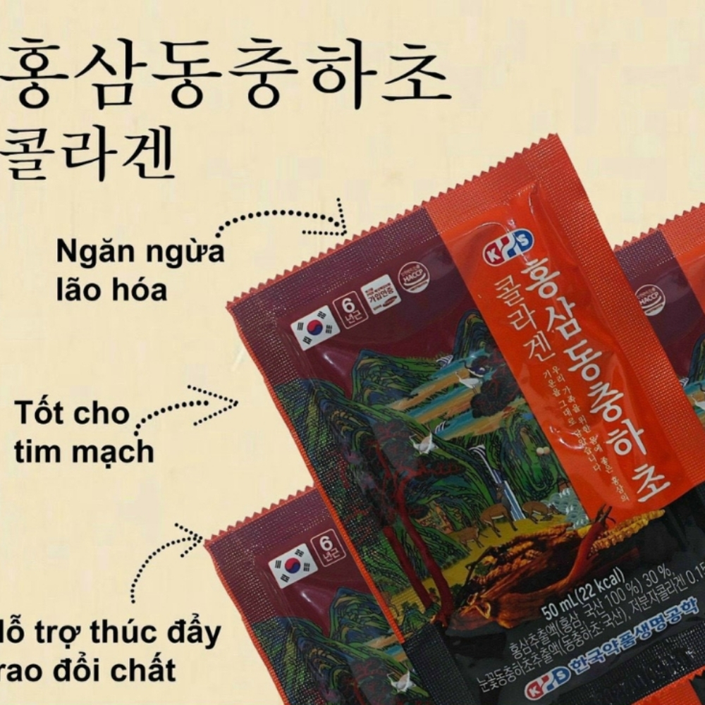Nước hồng sâm Collagen Đông trùng hạ thảo Hàn Quốc hộp 30 gói x 50ml 8 - hanghanchinhhang.vn Nước hồng sâm Collagen Đông trùng hạ thảo Hàn Quốc
