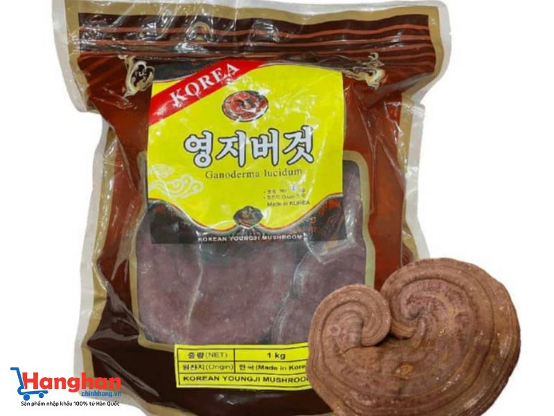 Nấm linh chi đóng túi
