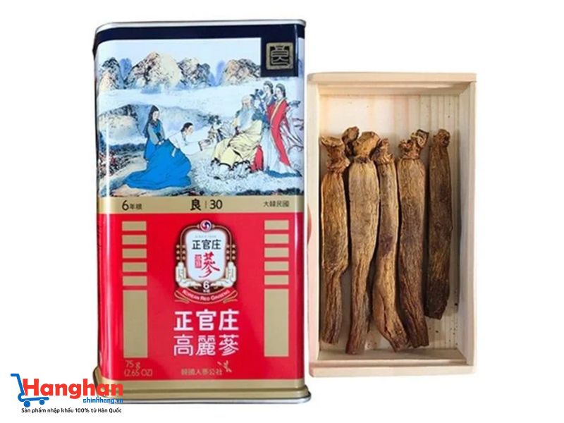 Sâm khô hộp thiếc