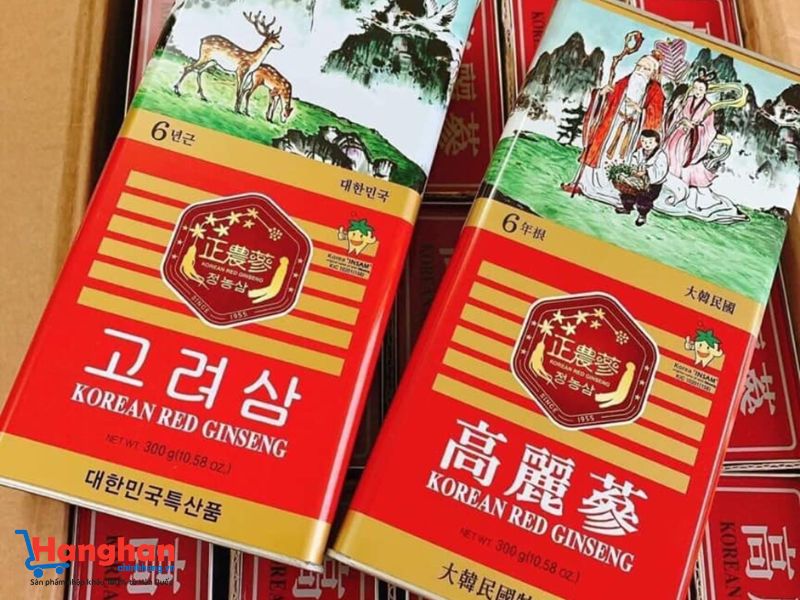 Sâm khô hộp thiếc