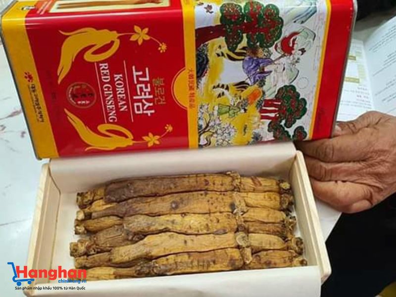 Sâm khô hộp thiếc