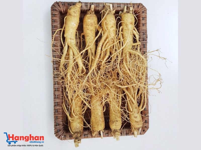 Sâm tươi Hàn Quốc