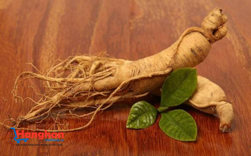Những điều bạn cần biết về hồng sâm Hàn Quốc chính hãng 2 - hanghanchinhhang.vn hồng sâm Hàn Quốc chính hãng