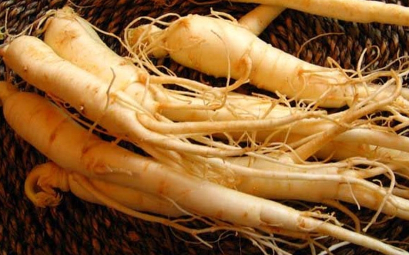 sâm giúp ngủ ngon